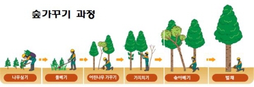 꾸미기_noname01.jpg